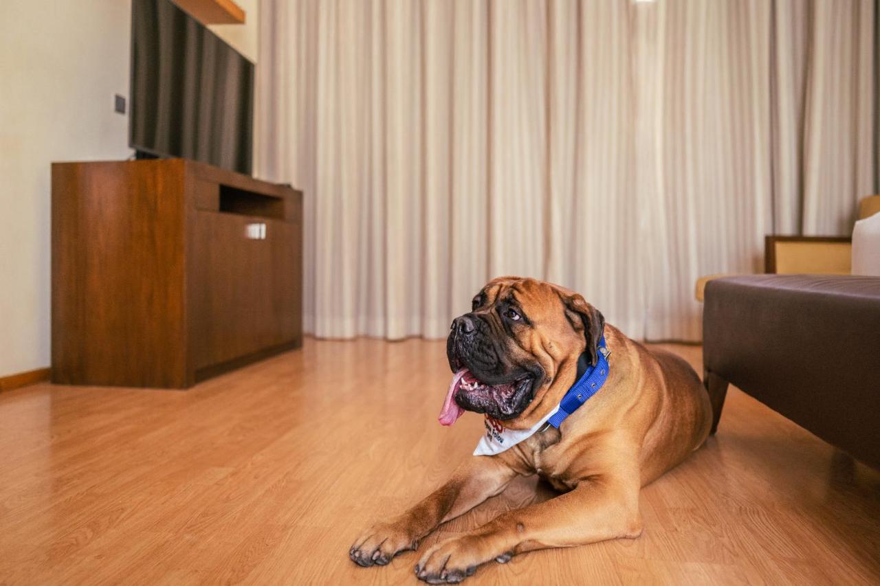 Hyatt Hyderabad Gachibowli Otel Dış mekan fotoğraf
