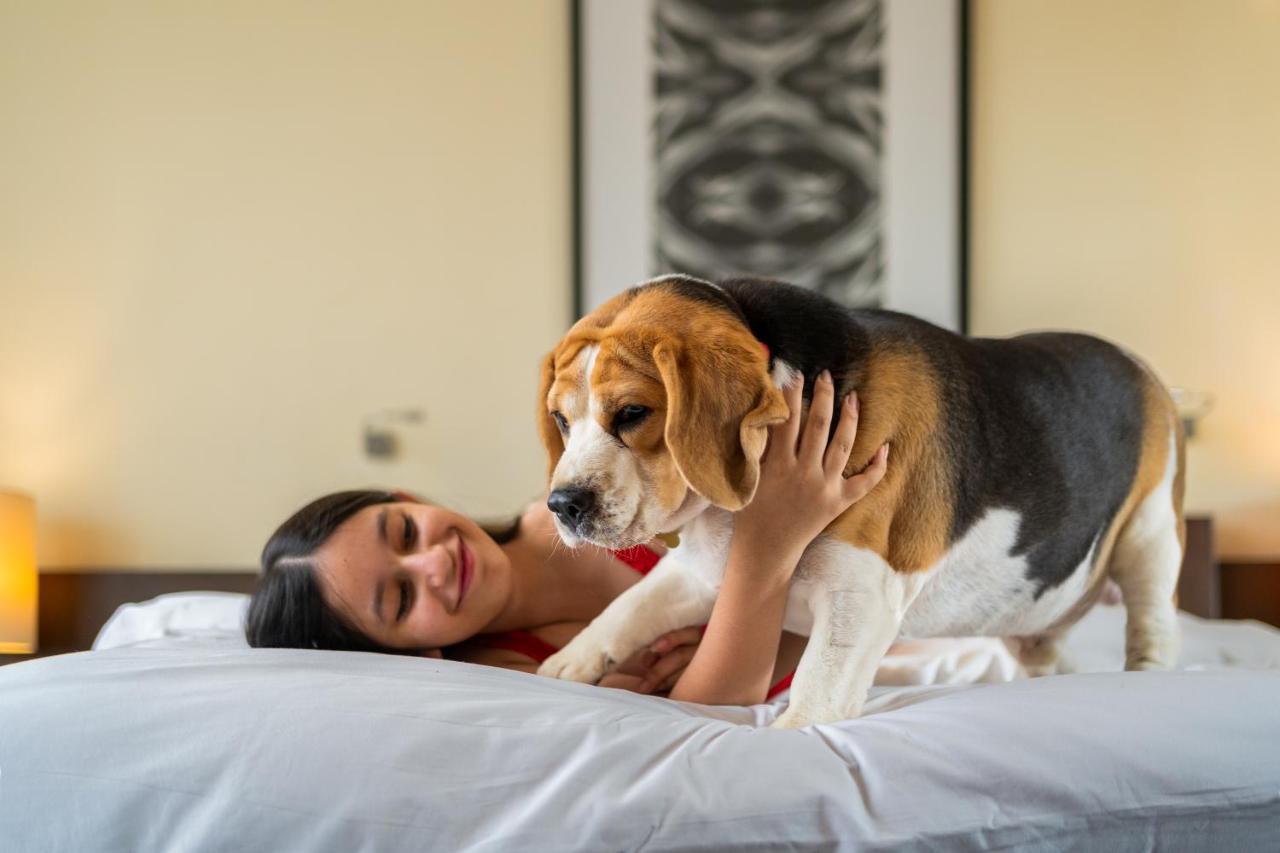 Hyatt Hyderabad Gachibowli Otel Dış mekan fotoğraf