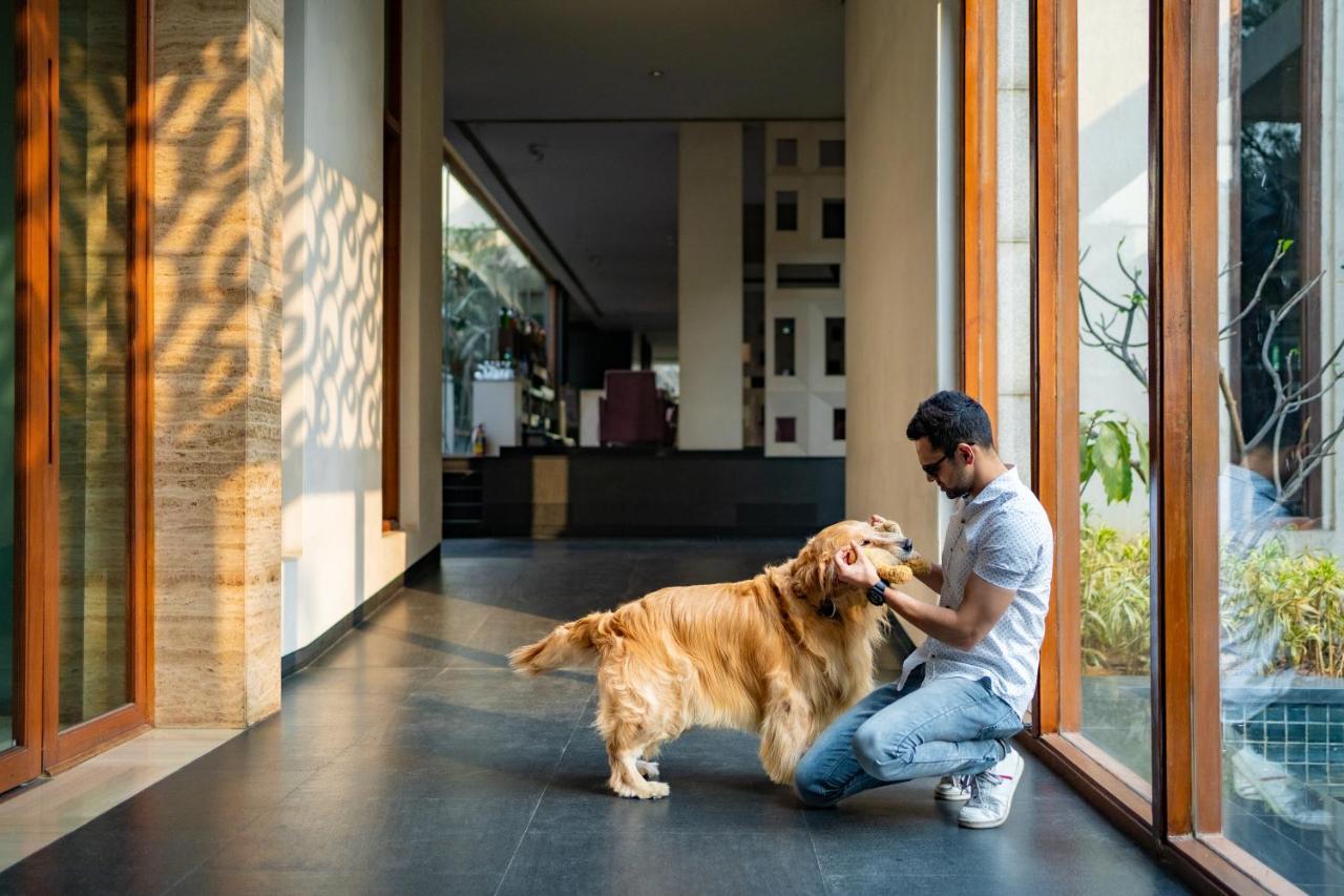 Hyatt Hyderabad Gachibowli Otel Dış mekan fotoğraf