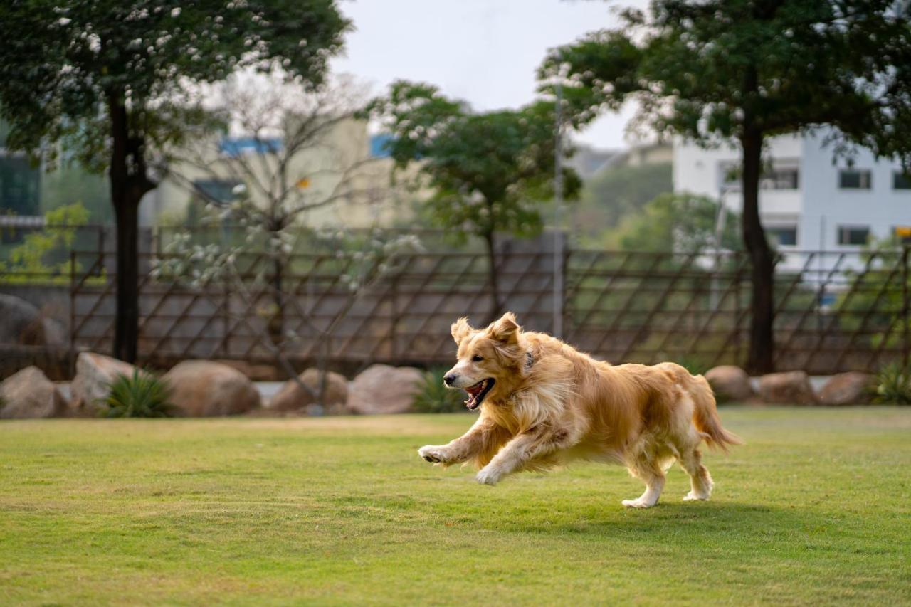 Hyatt Hyderabad Gachibowli Otel Dış mekan fotoğraf