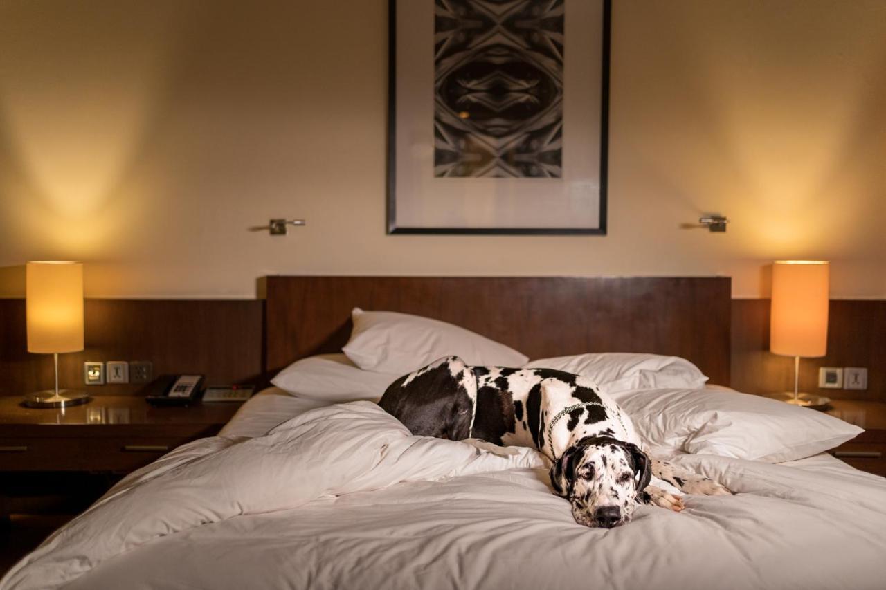 Hyatt Hyderabad Gachibowli Otel Dış mekan fotoğraf