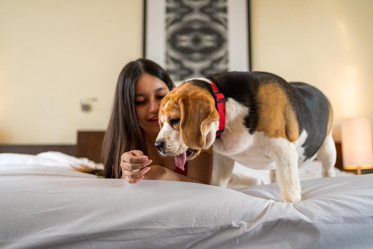 Hyatt Hyderabad Gachibowli Otel Dış mekan fotoğraf